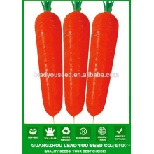 NCA012 semillas de zanahoria waiyan negro precio semillas de china